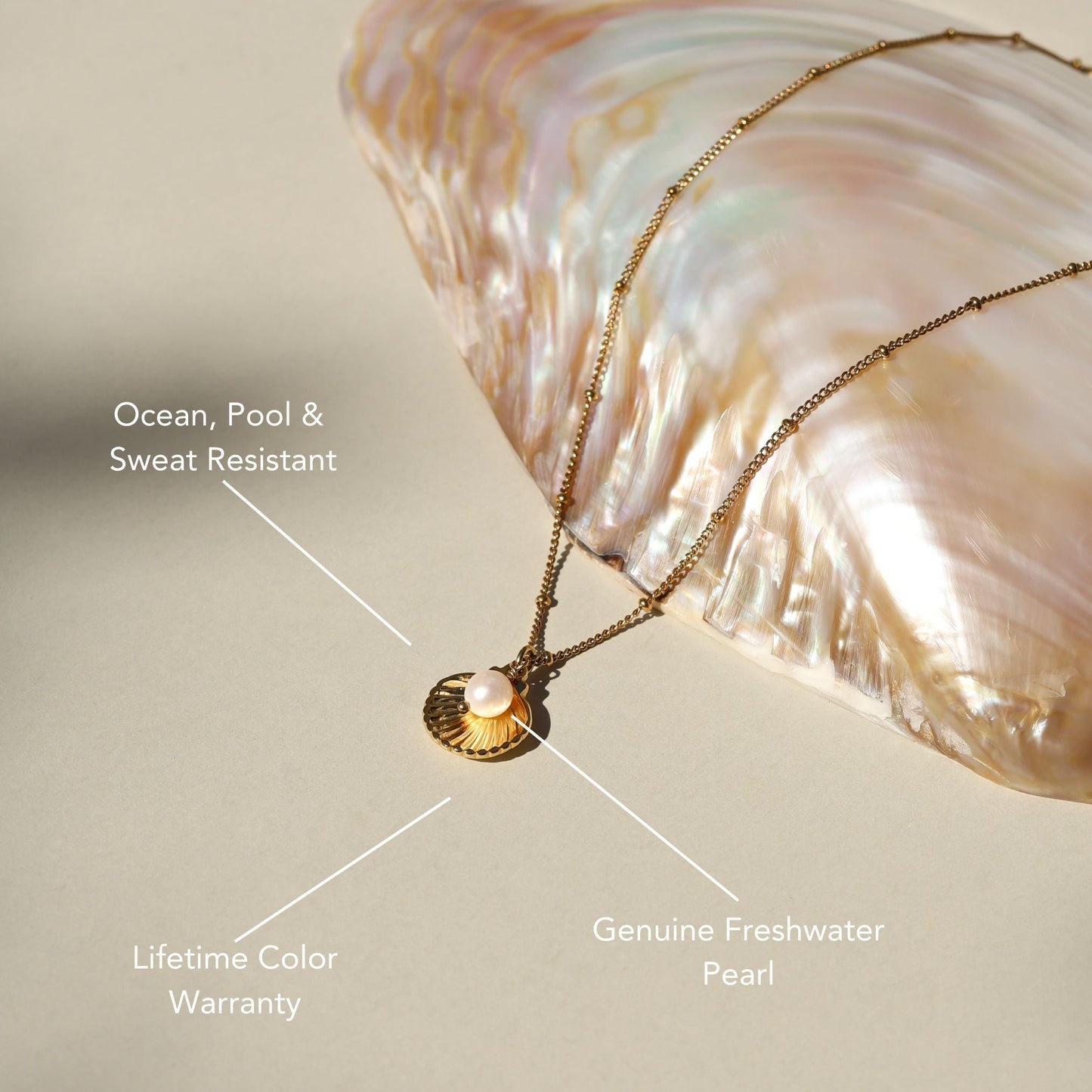Seashell Necklace
